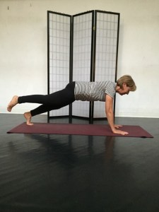 Lucy in one legged plank pose