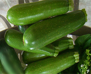 zucchini